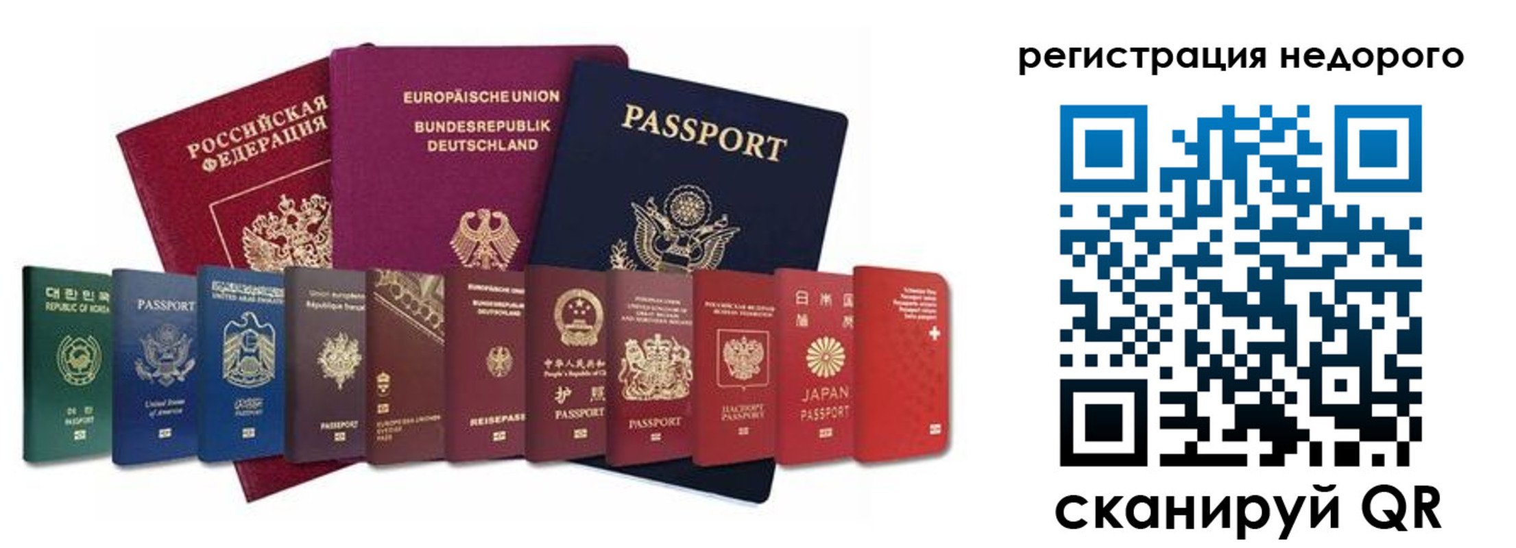 прописка гарантия в Чкаловске